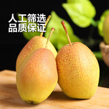 HUABEIQIANG陕西红香酥梨脆甜可口现摘现发酥梨产地直发梨子汁水丰富 净重4.5斤装单果100g+ 中果