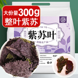 养益君紫苏叶300g 紫苏叶茶紫苏饮 干紫苏籽子叶 精选好货 花草茶叶泡水