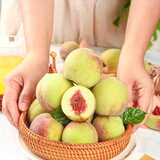 京氿生山东青州蜜桃脆甜桃子秋毛桃青色硬桃子小冬桃当季新鲜水果包邮 回购多【9斤】发2箱4.5