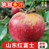 探味君 山东红富士丑苹果 应当季新鲜水果 脆甜嘎啦萍果整箱 生鲜 净重8.5-9斤 单果60mm-65mm