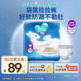 帮宝适一级帮袋鼠裤拉拉裤XXXL码22+2片 尿不湿 婴儿夜用夏季超薄