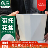 寿禾 花盆家庭园艺盆栽绿萝多肉发财树种植盆 木里盆小号-浅灰
