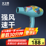 火之凤吹风机理发店专用 电吹风筒 负离子2200W大功率发廊大风力速干家用高速恒温护发不伤发8960 8960H蓝鹦鹉(2400W)