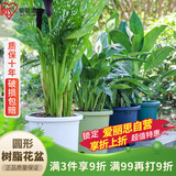 爱丽思花盆塑料圆形树脂多肉花盆种花种菜盆绿萝爱丽丝 蓝色口径20.3cm