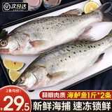 尚致鲈鱼鲜活冷冻青岛海鲈鱼花鲈鱼七星鲈鱼深海鱼新鲜海鱼年夜饭 【2条】海鲈鱼1斤/条