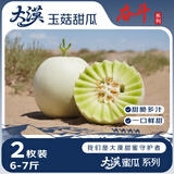 京鲜生 大漠蜜瓜系列 大漠玉菇甜瓜 2枚 净重6-7斤 水果蜜瓜 源头直发