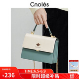 蔻一（Cnoles）包包女士款2025年最新款牛皮女生高端斜挎包通勤大容量单肩包