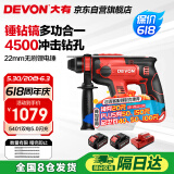 大有20V无刷充电锂电电锤5401冲击钻电镐两用混凝土开凿双电5.0闪充
