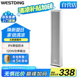 威斯汀家庭影院户外防水音柱音箱音响挂墙壁挂式功放喇叭音箱商场店铺会议公共广播3060/120W