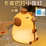 朵帆卡皮巴拉小夜灯12岁女孩生日礼物女生实用儿童礼物7-14岁10初中生