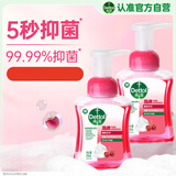 洗手液泡沫樱桃芬芳250ml*2 儿童泡泡洗手液5秒抑菌家庭用