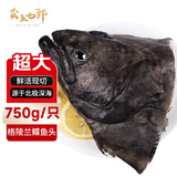 卖鱼七郎 格陵兰超大鲽鱼头1.5斤 深海鸦片鱼头比目鱼头海鲜水产鱼类