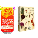 300种干花图鉴 留住植物的美好 让时间和浪漫永存
