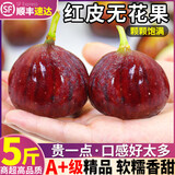 壹萌果蔬云南红皮无花果【JD顺丰多地次日达】新鲜无花果鲜果水果当季现摘 精选3斤S+精品果【软糯香甜】
