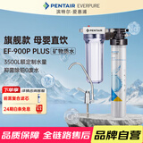爱惠浦（Everpure） 家用矿物质厨下净水器 大流量0废水直饮 1.8L/分钟3500L处理量 EF-900P Plus