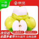 京觅 安徽砀山酥梨 净重3斤 单果250g起 4-6个 生鲜水果梨子 源头直发