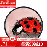 蒂森特（dste） 近摄镜 +10 10倍放大镜 微距镜片 配件 滤镜 缩近焦距 近摄镜+10/55mm