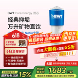 倍世（BWT）【120升级款】进口家用直饮厨下净水机厨房过滤器energy替换滤芯