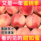飘香果度山西水蜜桃脆桃新鲜水果超甜多汁现摘 净重4.5斤中果