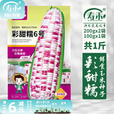 寿禾 超甜水果玉米种子大全紫糯黑甜糯可生食粘甜种孑秋季寿光蔬菜 彩甜糯6号玉米种子500g