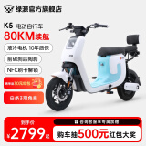 绿源（Luyuan）新国标电动自行车K5 通勤代步轻便电瓶车 48V24A可提锂电 光纤白