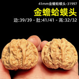 山中玉【一物六图】文玩核桃狮子头手把件青皮老树王勇盘玩圣诞礼物 41mm金蟾蛤蟆头-31997