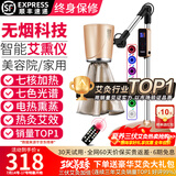 鸿益德 艾灸家用仪器一体机语音无烟熏蒸仪美容院养生理疗艾炙灯烤电仪 金色升级美容院款XJAY02