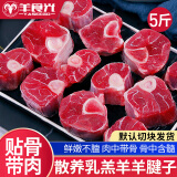 羊食光羊肉新鲜半只羊10斤羊后腿肉羔羊肋排冷冻火锅食材年货 羊腱子净重5斤