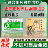 [德济]痰咳净片 0.2g*40片 2盒装 止咳化痰清肺感冒咳嗽药化痰祛痰中成药喉咙痰多咳嗽粘痰咳不出来喉咙有痰粘痰异物感含片 养阴润肺 止咳化痰