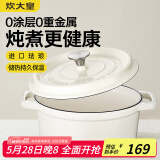 炊大皇珐琅锅铸铁锅家用炖锅砂锅汤锅焖烧锅电磁炉燃气煮锅22cm
