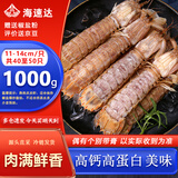 海速达 皮皮虾 净重2斤30-40只 大号满肉鲜活熟冻濑尿虾爬子虾婆姑海鲜