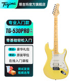 Tagima电吉他塔吉玛TG510 530 635单摇单单双男女初学者入门电吉他套装 TG530PROYL单单双【柠檬黄】39英寸