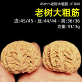 山中玉【一物六图】文玩核桃狮子头手把件青皮老树王勇盘玩生日礼物 45mm老树大粗筋-31840