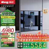 雷哲（Reg） V200嵌入式直饮机家用即热式饮水机自来水加热直饮一体机净饮机RO反渗透0阻垢净水器 V200PLUS-冰水款（进口管材）