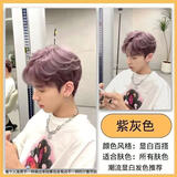 首品染发剂膏男2025流行爆款男士潮流奶茶灰自己在家染显白染头膏植物 紫灰色(染膏配漂粉) 500ml 1盒