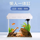 宠街坊小鱼缸一体缸自循环水族箱桌面客厅小型送礼生态鱼缸造景240