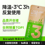 ECOWISH【热销千万条】超大降温湿巾 冷感冰巾止汗演唱会同款军训湿巾 【沁爽薄荷】浅绿色 33赠6到手39包/旅行装--赠品随机