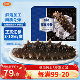 金唐大连冷冻海参净重250g /盒（8-10只）家庭装即食辽刺参免泡发