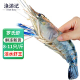 渔游记罗氏虾沼虾3斤鲜活冷冻新鲜大头虾超大虾巨型淡水河虾水产虾类 罗氏虾8-11/斤 1500克(净重)