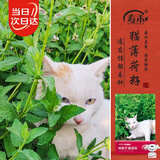 寿禾 猫薄荷种子猫可食用室内驱虫四季种花草种籽 猫薄荷种子约1500粒