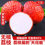 京地达广东增城无核荔枝净重4.5斤单果30g+增城荔枝礼盒源头直发包邮