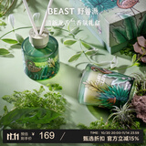 野兽派（THE BEAST）Jungle清新龙舌兰香薰蜡烛礼盒室内香薰新婚礼物生日礼物