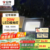 公牛（BULL）LED投光灯户外庭院工厂园林灯露营灯 IP65防水等级20W-6500K白光