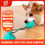萌嘟星宠狗玩具吸盘拉力球漏食器大型犬耐咬磨牙洁齿解闷神器宠物用品