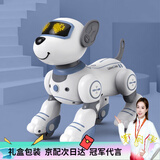 普兽儿童玩具1-3-6-8岁智能机器狗益智玩具3-6岁男女孩玩具幼儿玩具 【编程智能跟随+触摸互动】白色