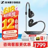 森海塞尔（Sennheiser）IE900/IE600/IE300旗舰级HIFI高保真超宽单动圈单元可拆卸MMCX挂耳式耳机 高保真发烧有线耳机耳塞 IE300+山灵UA4银色 便携耳放
