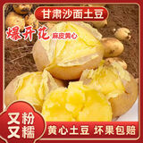陇百味定西土豆2025年新挖粉糯面沙 高山洋芋 马铃薯 甘肃定西美食特产 净重5斤  单果8两起大果