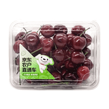 【农户直通车】大连美早樱桃400g(单果8g起)