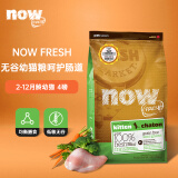 NOW FRESH 进口幼猫粮 now去骨肉无谷天然粮低敏增肥发腮营养4磅/1.81kg