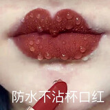兰奕不沾杯不掉色的保湿持久防水口红持久囗 红大牌正品豆沙色保湿 505姨妈色